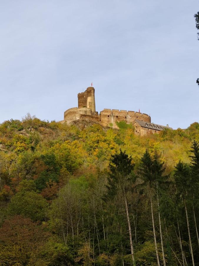 Ferienwohnung 'Unter Der Burg' Brodenbach Kültér fotó