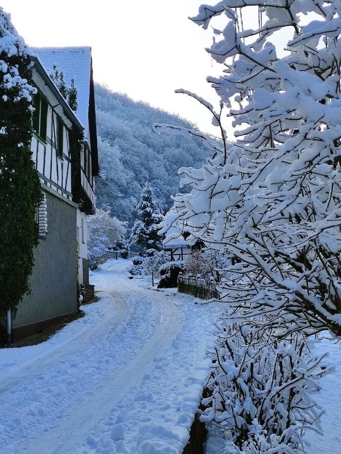 Ferienwohnung 'Unter Der Burg' Brodenbach Kültér fotó